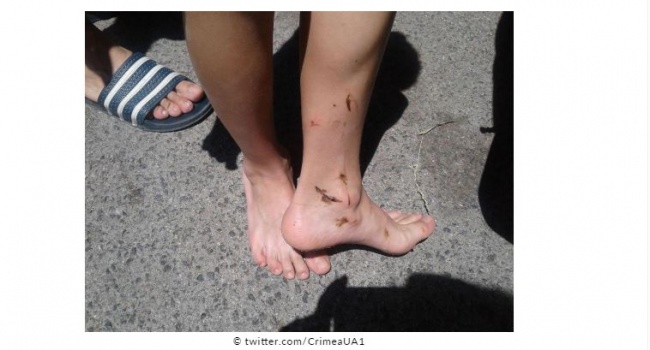 На курортах Крыма люди купаются в мазуте, - фото На курортах Крыма люди купаются в мазуте, - фото