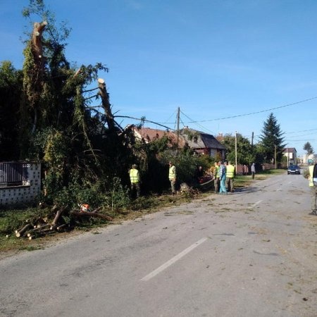 Пригород Ужгорода едва не разрушил торнадо: в сети опубликованы впечатляющие фото 