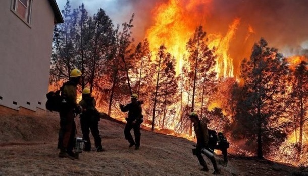В США назвали причину ураганов и лесных пожаров