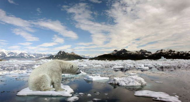 Потепление в Арктике приобрело необратимый характер - ООН