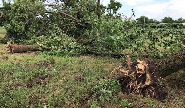 Падали столбы, сносило крыши: Херсонскую область накрыл страшный ураган 