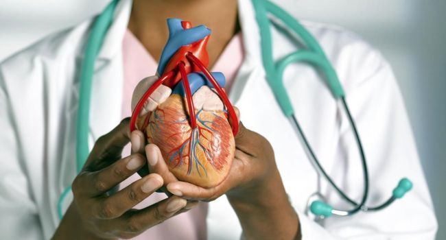 Медики назвали главные причины развития заболеваний сердца