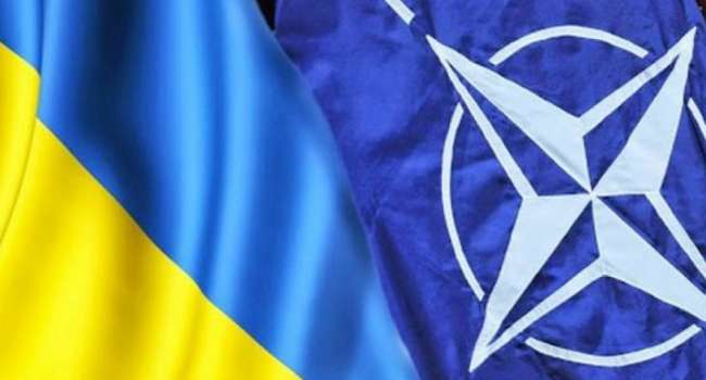 «Недостижимая цель»: Новый глава Минобороны Украины рассказал о переходе на стандарты НАТО 