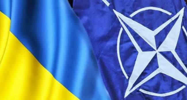 «Недостижимая цель»: Новый глава Минобороны Украины рассказал о переходе на стандарты НАТО «Недостижимая цель»: Новый глава Минобороны Украины рассказал о переходе на стандарты НАТО