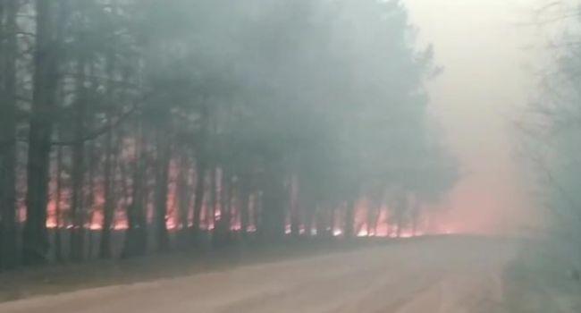 Житомирская область опять пылает огнем