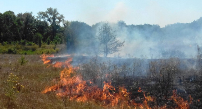 «Сжигала сухую траву, но сожгла себя»: В Житомирской области от ожогов погибла женщина 