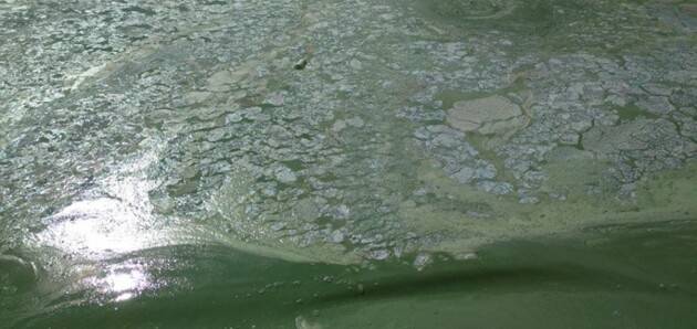 «Из трубы неизвестного назначения»: вода на пляже в Николаеве окрасилась в ярко-зеленый цвет