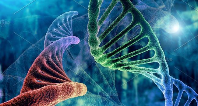 «Все дело в мутациях»: Ученые объяснили, почему онкологические заболевания практически не подеются лечению
