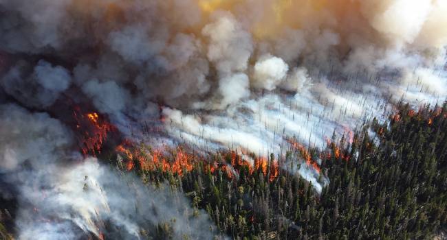 Луганская область горит огнем: Количество жертв лесного пожара уже достигло шести человек