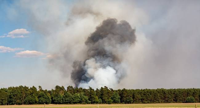 Зеленский провел экстренное совещание из-за пожара в Луганской области