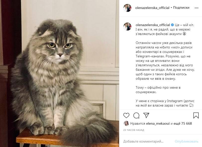 Елена Зеленская пожаловалась на появление фейковых страниц в соцсетях, которые публикуют сообщения от ее имени Елена Зеленская пожаловалась на появление фейковых страниц в соцсетях, которые публикуют сообщения от ее имени