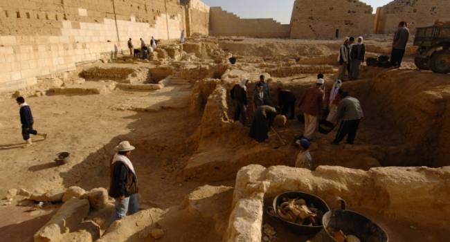 Археологи из Египта обнаружили древнее кладбище домашних животных