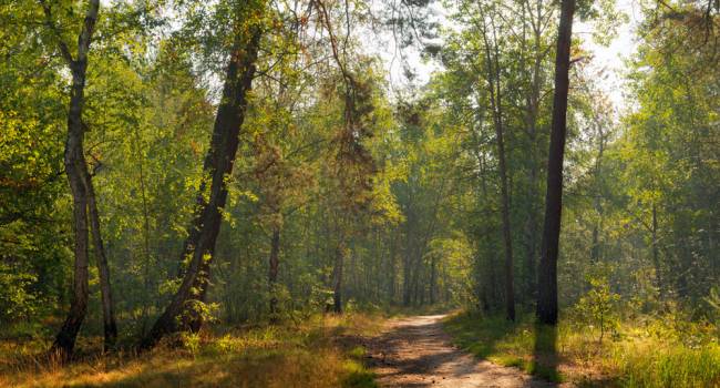 В отдельных областях до 35°: синоптики предупредили об аномальной жаре 1 сентября