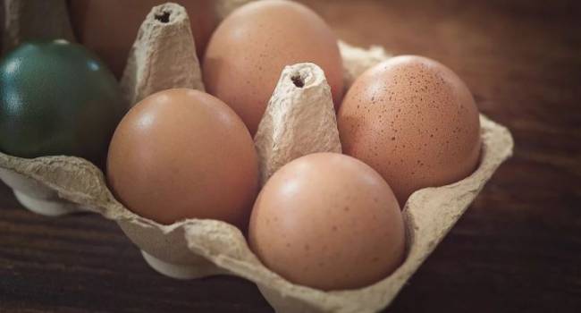 «Не дезинфицировать и изолировать от других продуктов»: эксперты рассказали, как правильно хранить яйца 