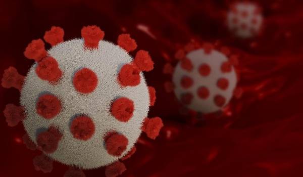 В Индонезии бьют тревогу: в стране зафиксирован новый штамм коронавируса 
