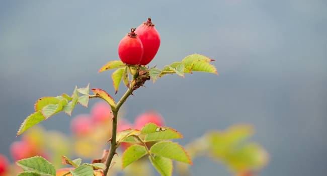  ������ ������� ����� �������� ������� ���������� ���������� ������ 