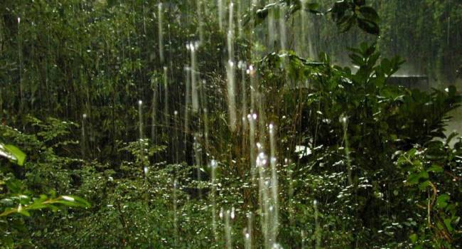 Местами даже грозы: синоптики рассказали о дождях в начале недели