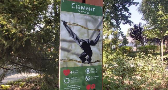  «Как он преобразился»: в сети появились новые снимки зоопарка Киева