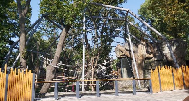  «Как он преобразился»: в сети появились новые снимки зоопарка Киева