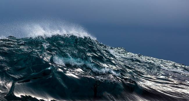 Еще одна напасть: ученые заявили о появлении в мировом океане волн жары