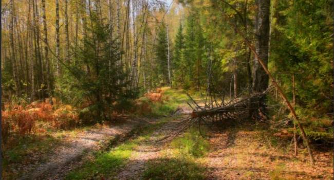  ������� ���� ��������� ������������ �������� ������ ����� ������ 