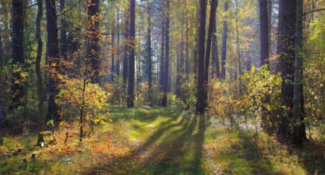  ������� ���� ��������� ���������� ����� �������� ���������� 