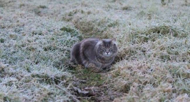  ���� ����������� ������� ������� ��������� �������� 