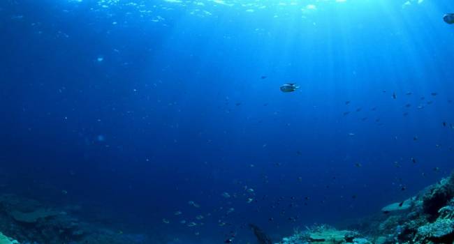  ������ ������ �������� ������ ������ ���������� �������� ������� 