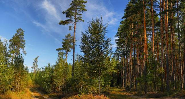  �������� ������������ ������� ����� ��������� ��� 