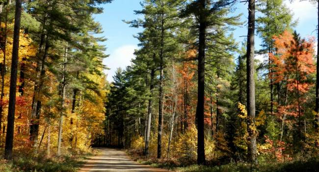  ��������� �������� ������������� ���������� �������� ������������ ������� �������� 