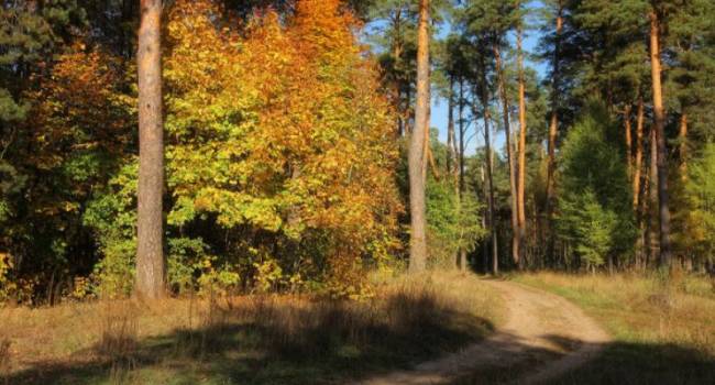 ����: replyua.net