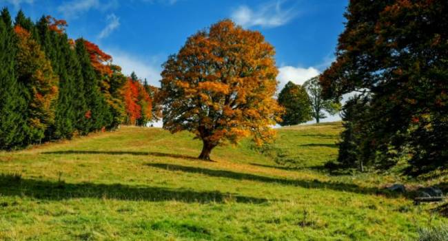  ������� �������� ���������� �������� ��������� ����� ������ ����� 