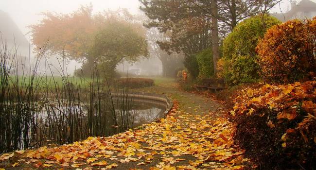  ��������� ����� ������ �������� ������������ ��������� ������ �������� 