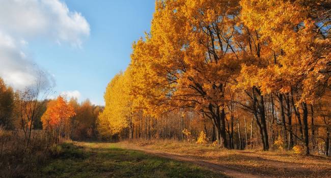  �� ����� ����������� ��������� ������� ������� 