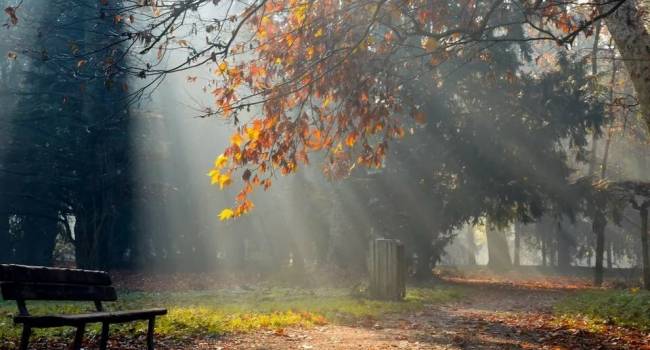  ����� ������� ������ ��������� ���������� ������ ��������� ����������� 