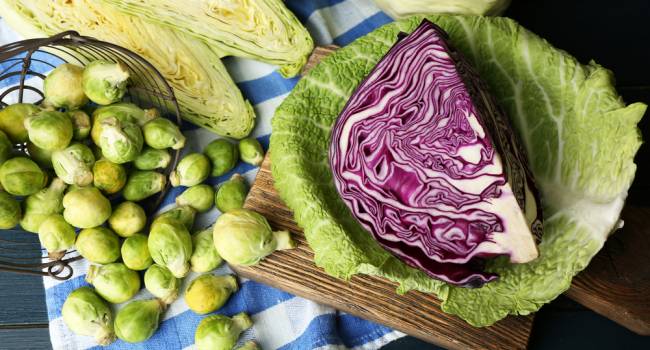  ������ ������� ������ �������� �������� ����� 