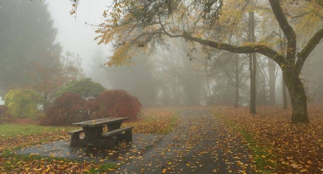  ������� ����� ����������� ���������� �������������� ���������� ������ ������ 